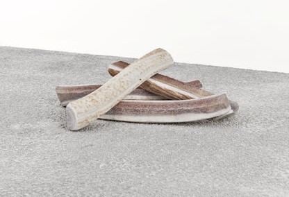 Primal Dog Antler Elk Split