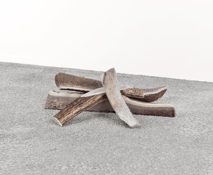 Primal Dog Antler Stag Split