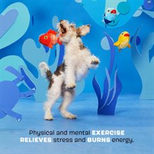 Bark The Groupers Multicolor Fish School Plush Dog Toy