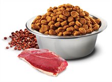 Farmina Dog Can Skin Coat Duck Quinoa Coconut