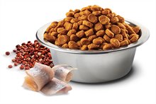 Farmina Grain Free LID Quinoa Skin and Coat Herring Dry Cat Food