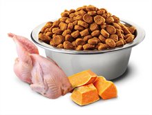 Farmina ND Pumpkin Grain Free Quail Pomegranate Dry Dog Food