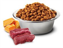 Farmina ND Pumpkin Grain Free Venison Apple Dry Dog Food