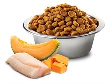 Farmina Ocean Cod Pumpkin and Cantaloupe Melon Dry Dog Food