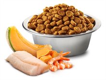 Farmina Ocean Cod Shrimp Pumpkin and Cantaloupe Melon Dry Cat Food