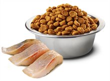 Farmina Ocean Neutered Herring Orange Adult Dry Cat Food