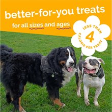 Fruitables Skinny Minis Dog Treats