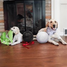 Jolly Pets Soccer Ball