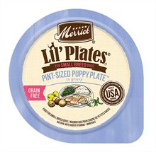Merrick Lil Plates Pint Sized Puppy Plate in Gravy