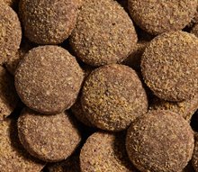 Open Farm Dog Treat Better Biscuits Beef Oatmeal