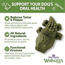 Paragon Alligator Dental Dog Treat