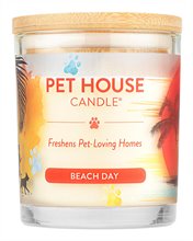 Pet House Beach Day Candle