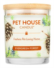 Pet House Candle Evergreen Forest 