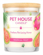 Pet House Candle Tropical Fruit Candle