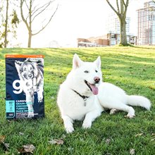 Petcurean Go Carnivore Grain Free Chicken Turkey Duck Adult Recipe