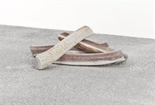 Primal Dog Antler Elk Split