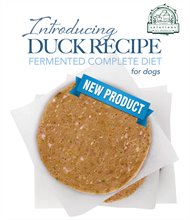 Solutions Dog Frozen Duck Patties