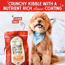 Stella and Chewys Raw Coated Baked Kibble Grass Fed Beef