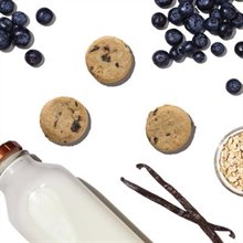 The Honest Kitchen Goats Milk N Cookies Slow Baked With Blueberries Vanilla Dog Treats