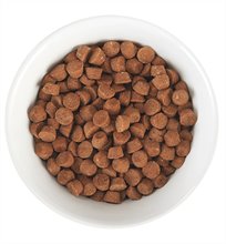 Tiki Cat Born Carnivore for Kittens Chicken and Egg Luau