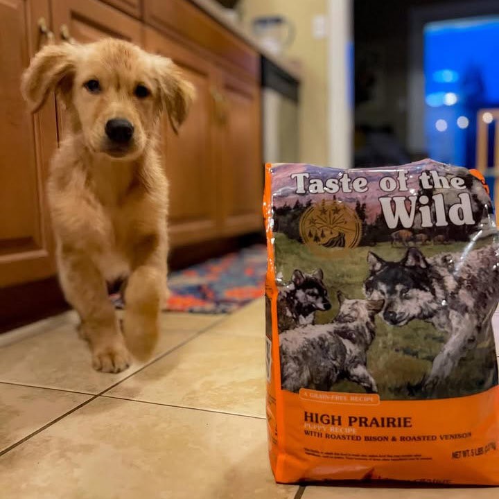 Taste of the Wild High Prairie Puppy Formula