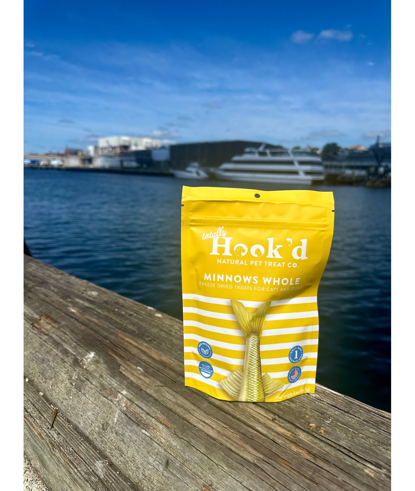 Totally Hookd Minnows