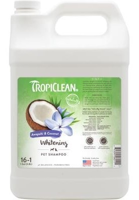 TropiClean Awapuhi and Coconut Pet Shampoo