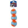 Chuckit Amphibious Fetch Balls Dog Toy