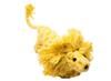Define Planet Cottonpals Roar The Lion Dog Toy