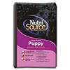 Nutrisource Large Breed Puppy Chicken and Rice Dry Dog Food