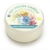 Pet House Candle Mediterranean Sea Mini Candle