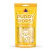 Weruva Cat Treat Puddy Pops Lickable Chicken Pumpkin