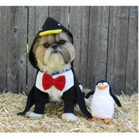 Penguin Costume