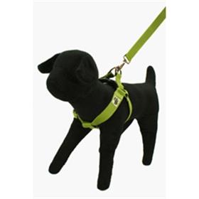 Wagging Green Bamboo Zen