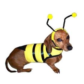 Bumble Bee Costume