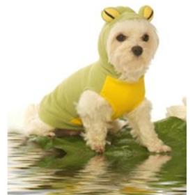 Hoodie Frog Costume