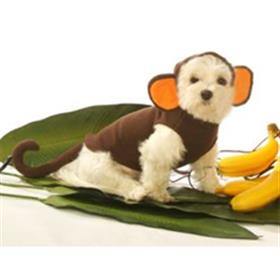Hoodie Monkey Costume