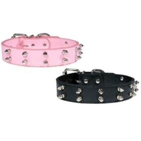Double Spike Collar