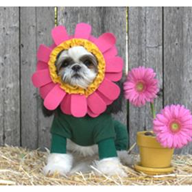 Flower Costume