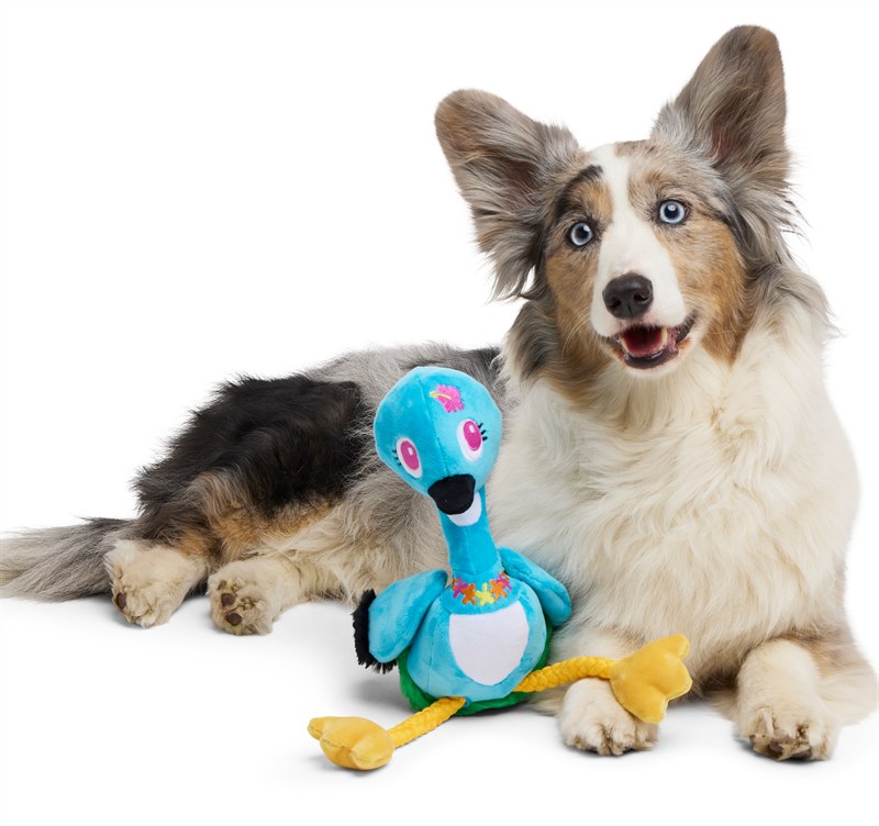 Bark Ani the Nene Goose Hawaiian Bird Blue Plush Dog Toy