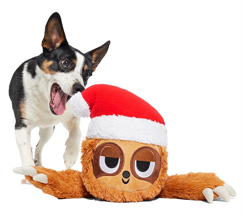 Bark Slow Jams Dan Crinkly Tube Squeaky Plush Dog Toy