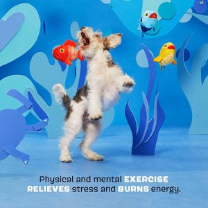 Bark The Groupers Multicolor Fish School Plush Dog Toy