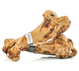 Barkworthies Femur Bone