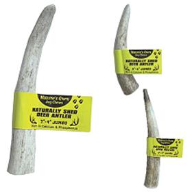 Best Buy Bones American Jumbo Elk Antler