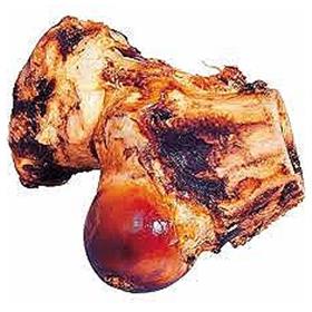 Best Buy Bones Smoked Knuckle