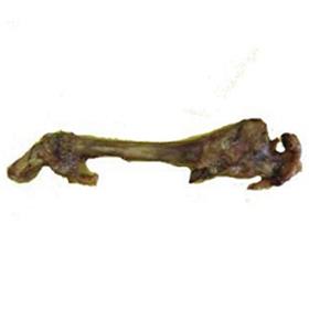 Best Buy Bones Smoked Lamb Femur