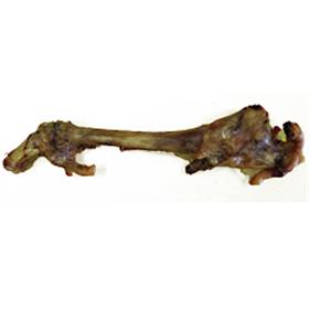 Best Buy Bones Smoked Lamb Trotter