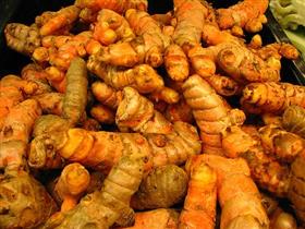 BioComplete Organic Turmeric Root Powder