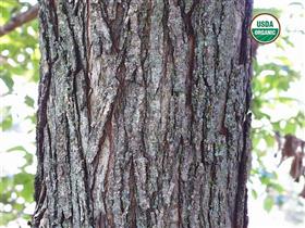 BioComplete Slippery Elm Bark Powder