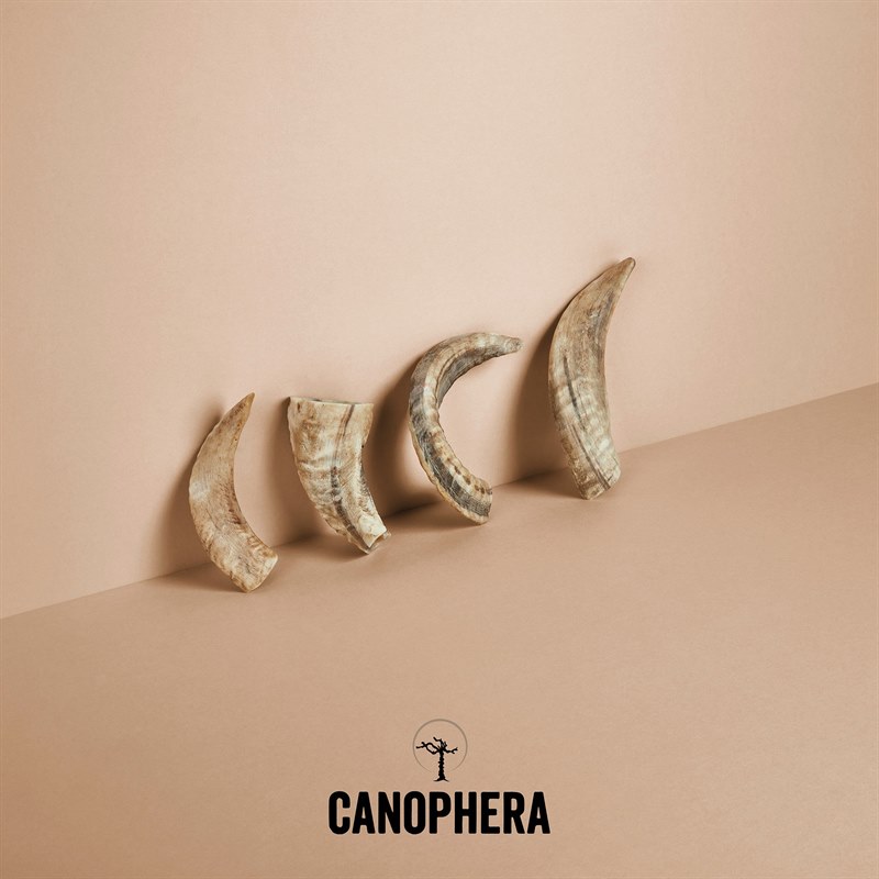 Canophera Dog Chew Sheep